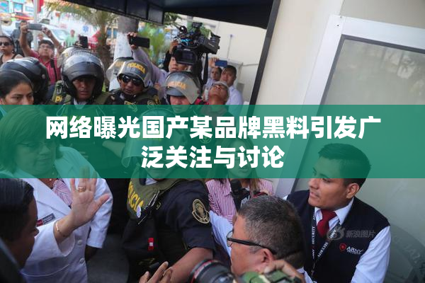 网络曝光国产某品牌黑料引发广泛关注与讨论