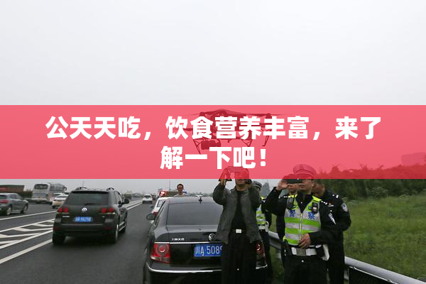 公天天吃，饮食营养丰富，来了解一下吧！
