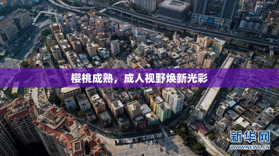 樱桃成熟，成人视野焕新光彩