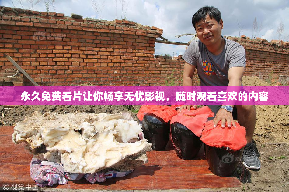 永久免费看片让你畅享无忧影视，随时观看喜欢的内容