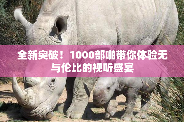 全新突破！1000部啪带你体验无与伦比的视听盛宴