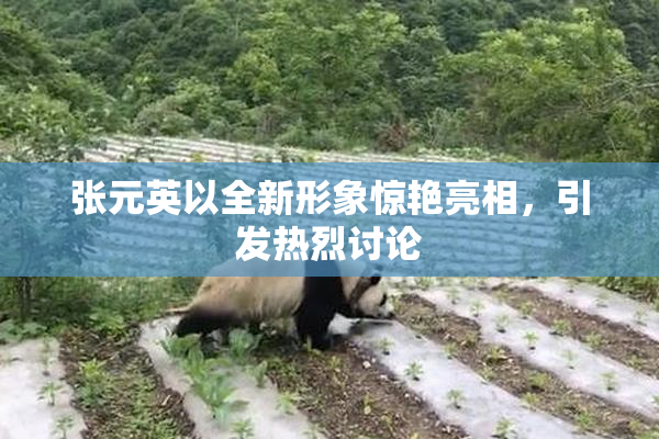 张元英以全新形象惊艳亮相，引发热烈讨论