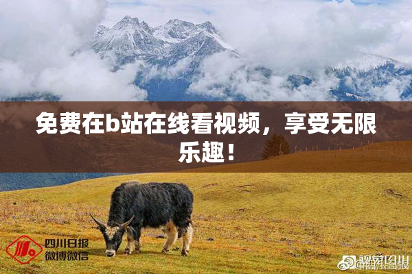 免费在b站在线看视频，享受无限乐趣！