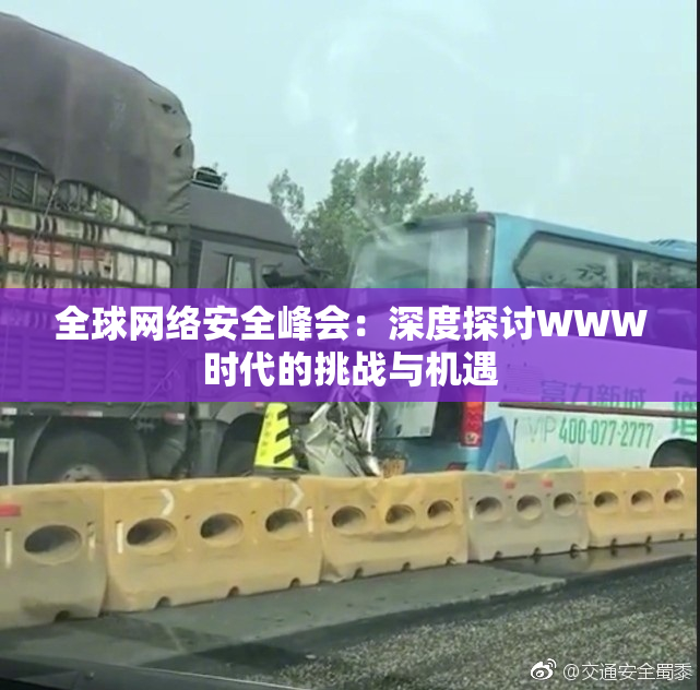 全球网络安全峰会：深度探讨WWW时代的挑战与机遇