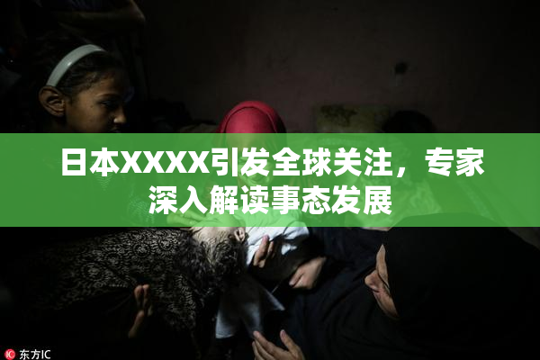 日本XXXX引发全球关注，专家深入解读事态发展