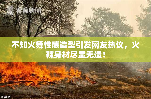 不知火舞性感造型引发网友热议，火辣身材尽显无遗！