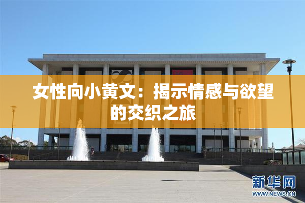 女性向小黄文：揭示情感与欲望的交织之旅