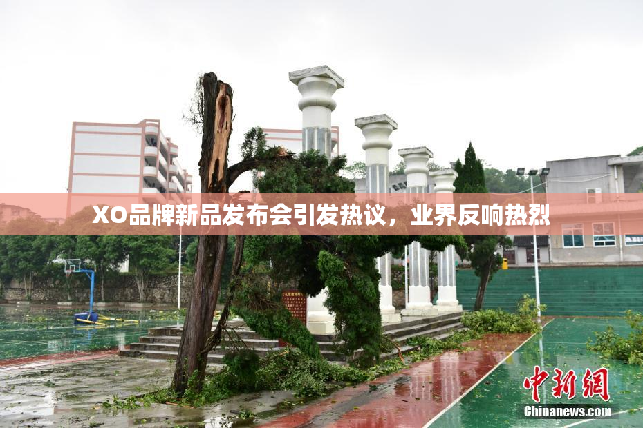 XO品牌新品发布会引发热议，业界反响热烈