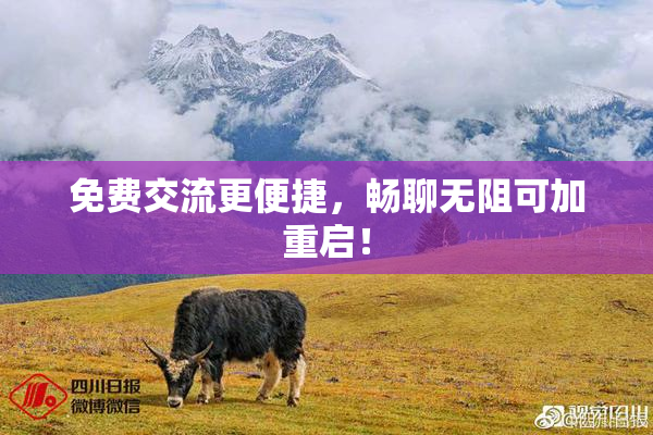 免费交流更便捷，畅聊无阻可加重启！