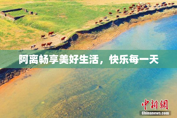 阿离畅享美好生活，快乐每一天