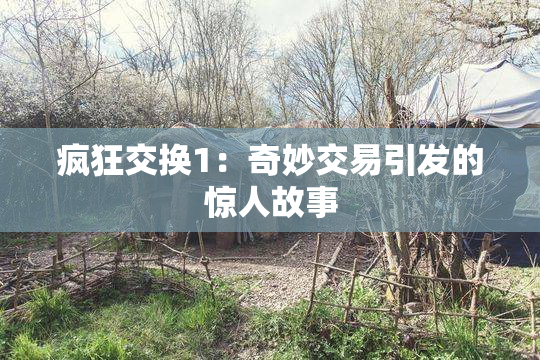 疯狂交换1：奇妙交易引发的惊人故事