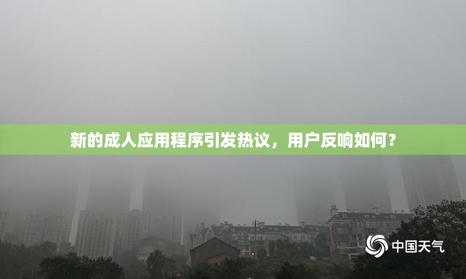 新的成人应用程序引发热议，用户反响如何？