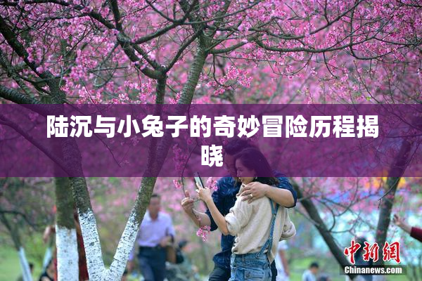 陆沉与小兔子的奇妙冒险历程揭晓