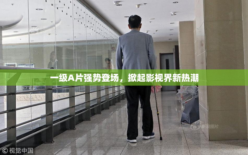 一级A片强势登场，掀起影视界新热潮