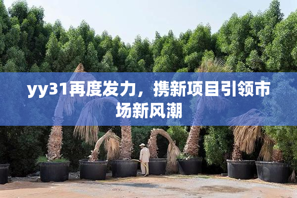 yy31再度发力，携新项目引领市场新风潮