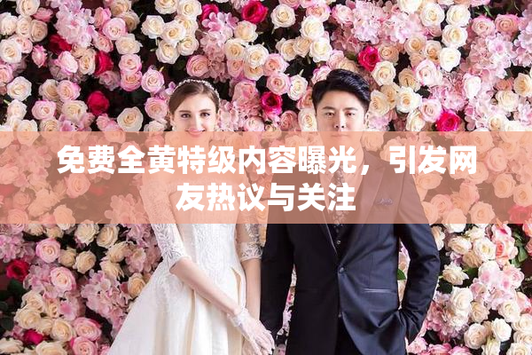 免费全黄特级内容曝光，引发网友热议与关注