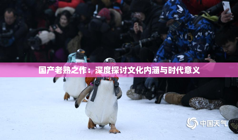 国产老熟之作：深度探讨文化内涵与时代意义