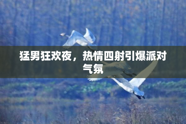 猛男狂欢夜，热情四射引爆派对气氛
