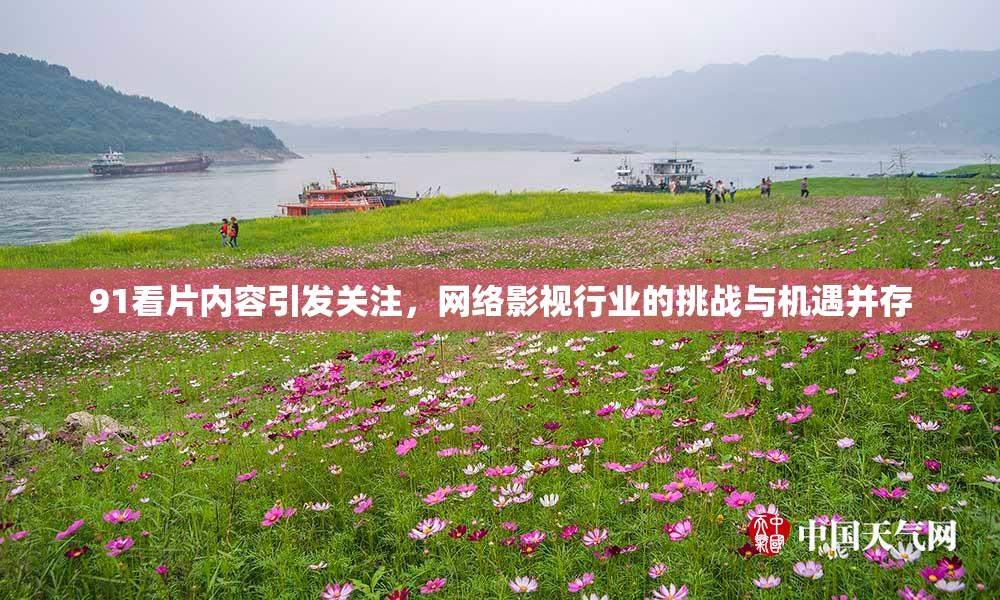 91看片内容引发关注，网络影视行业的挑战与机遇并存