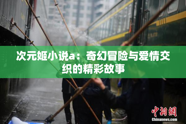 次元姬小说a：奇幻冒险与爱情交织的精彩故事