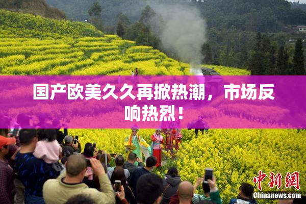 国产欧美久久再掀热潮，市场反响热烈！