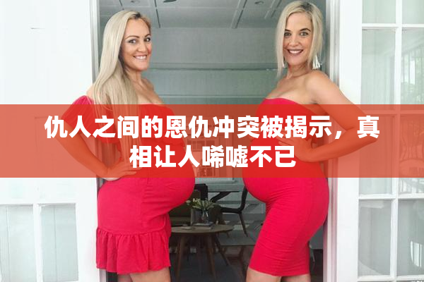 仇人之间的恩仇冲突被揭示，真相让人唏嘘不已