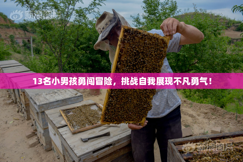 13名小男孩勇闯冒险，挑战自我展现不凡勇气！