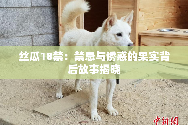 丝瓜18禁：禁忌与诱惑的果实背后故事揭晓