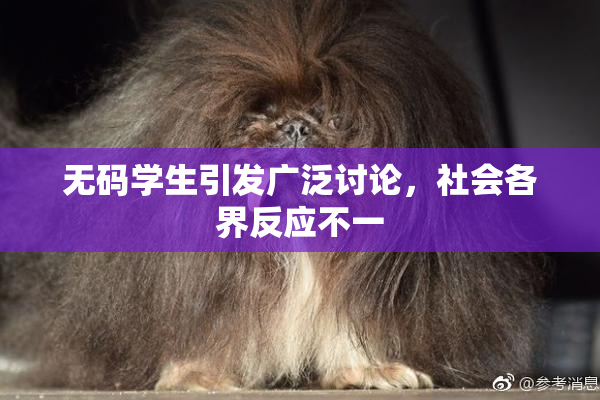无码学生引发广泛讨论，社会各界反应不一