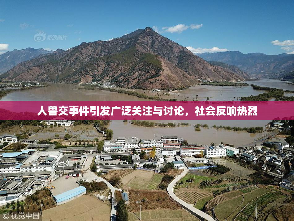 人兽交事件引发广泛关注与讨论，社会反响热烈