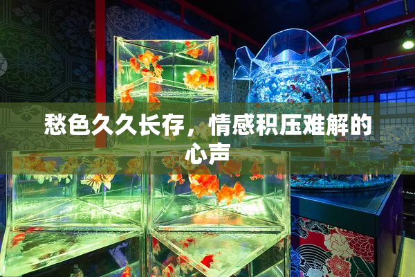 愁色久久长存，情感积压难解的心声