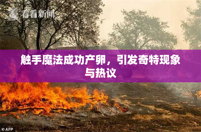 触手魔法成功产卵，引发奇特现象与热议