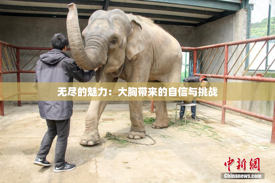 无尽的魅力：大胸带来的自信与挑战