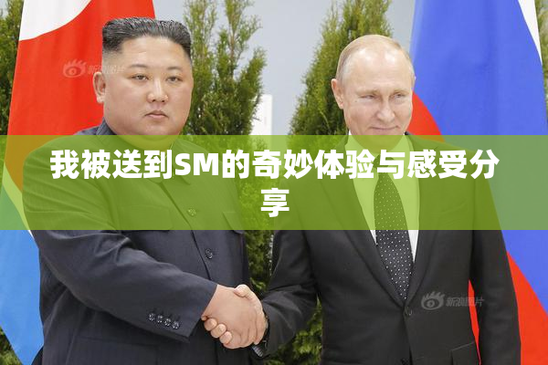 我被送到SM的奇妙体验与感受分享