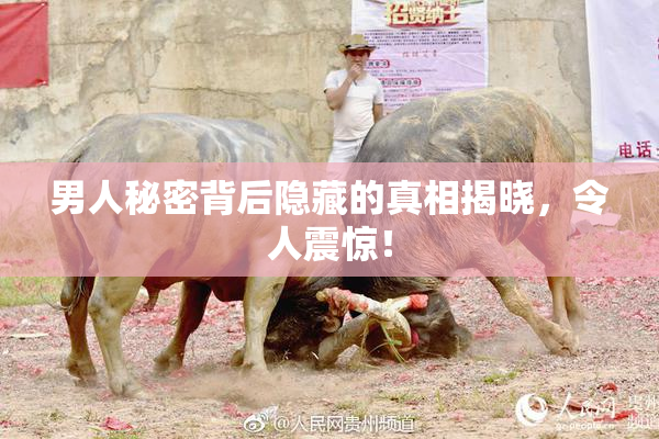 男人秘密背后隐藏的真相揭晓，令人震惊！