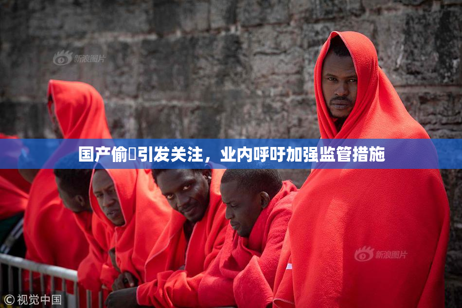 国产偷抇引发关注，业内呼吁加强监管措施