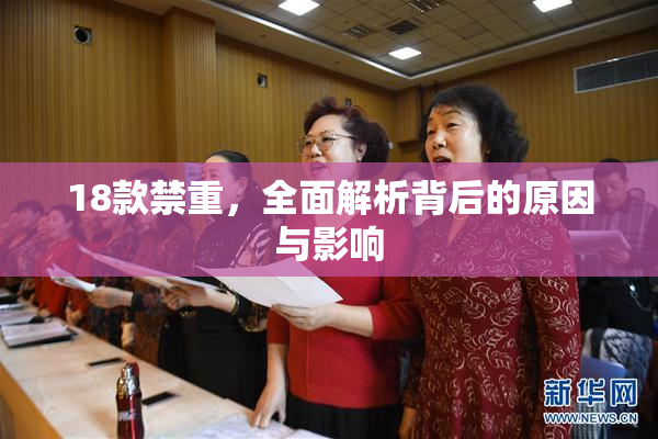 18款禁重，全面解析背后的原因与影响