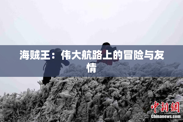 海贼王：伟大航路上的冒险与友情