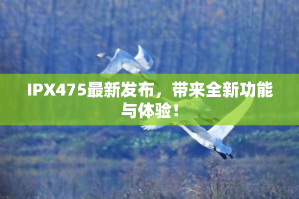 IPX475最新发布，带来全新功能与体验！