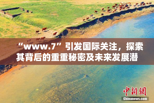 “www.7”引发国际关注，探索其背后的重重秘密及未来发展潜力。