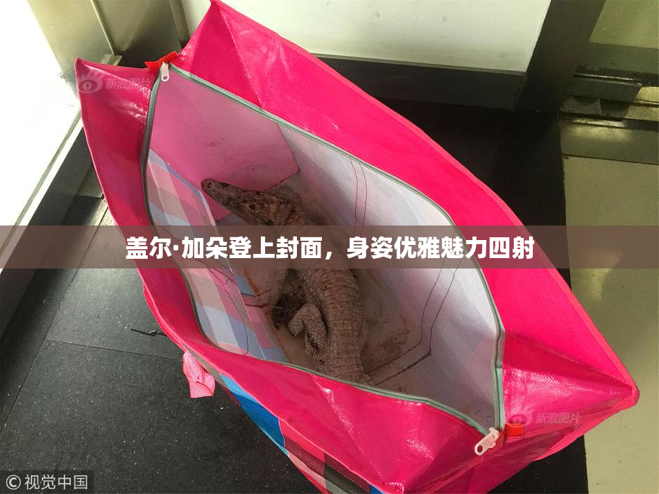 盖尔·加朵登上封面，身姿优雅魅力四射