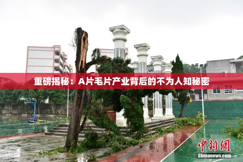 重磅揭秘：A片毛片产业背后的不为人知秘密