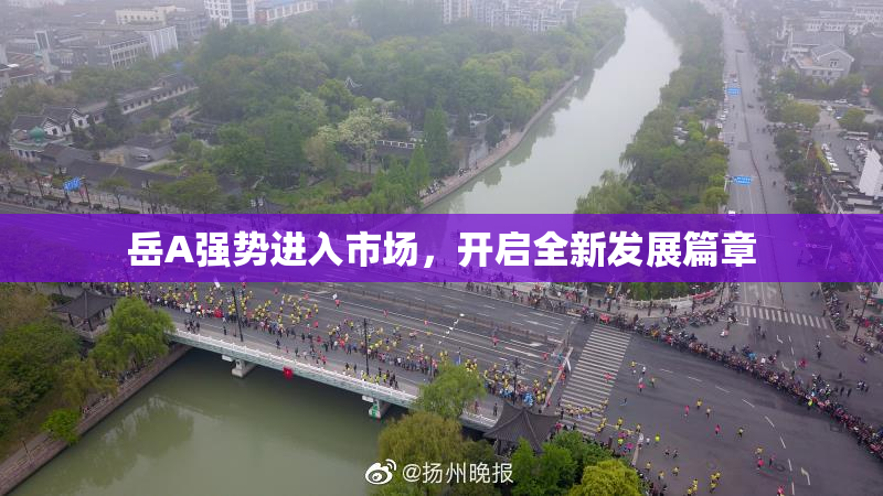 岳A强势进入市场，开启全新发展篇章