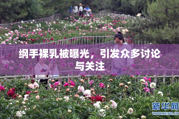 纲手裸乳被曝光，引发众多讨论与关注
