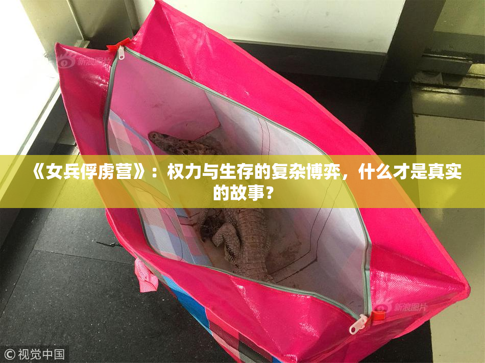 《女兵俘虏营》：权力与生存的复杂博弈，什么才是真实的故事？