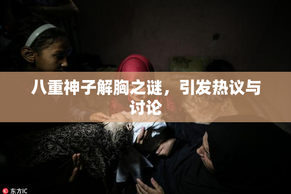 八重神子解胸之谜，引发热议与讨论
