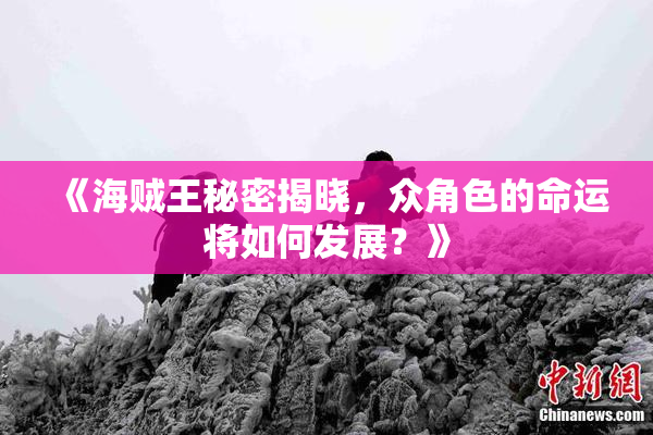 《海贼王秘密揭晓，众角色的命运将如何发展？》