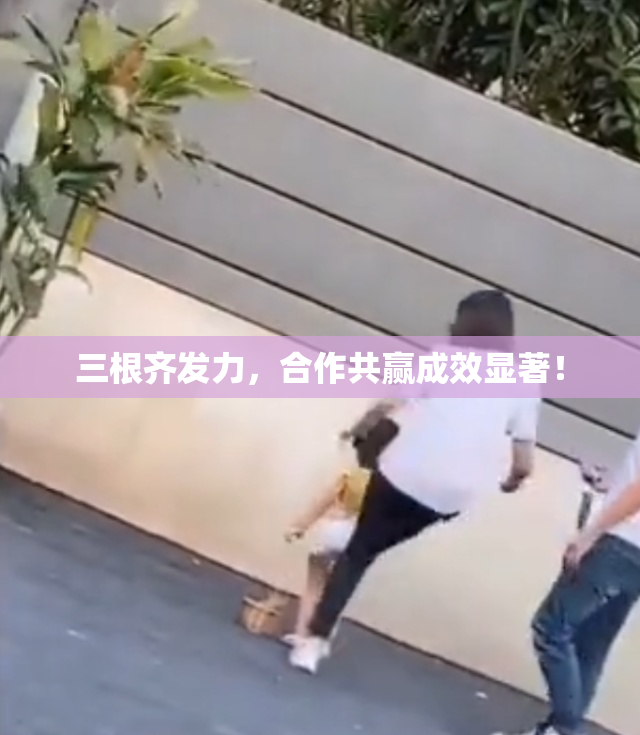 三根齐发力，合作共赢成效显著！