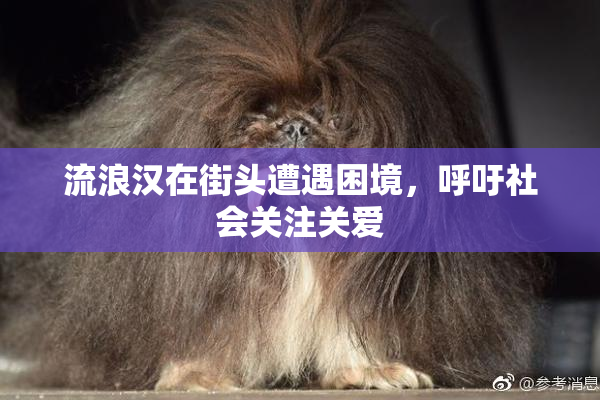 流浪汉在街头遭遇困境，呼吁社会关注关爱