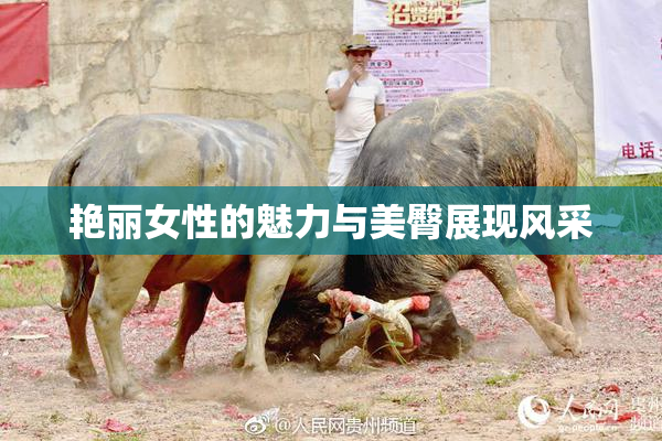 艳丽女性的魅力与美臀展现风采